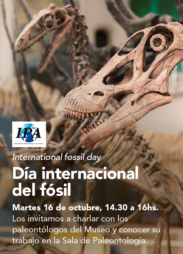 Día internacional del Fósil.