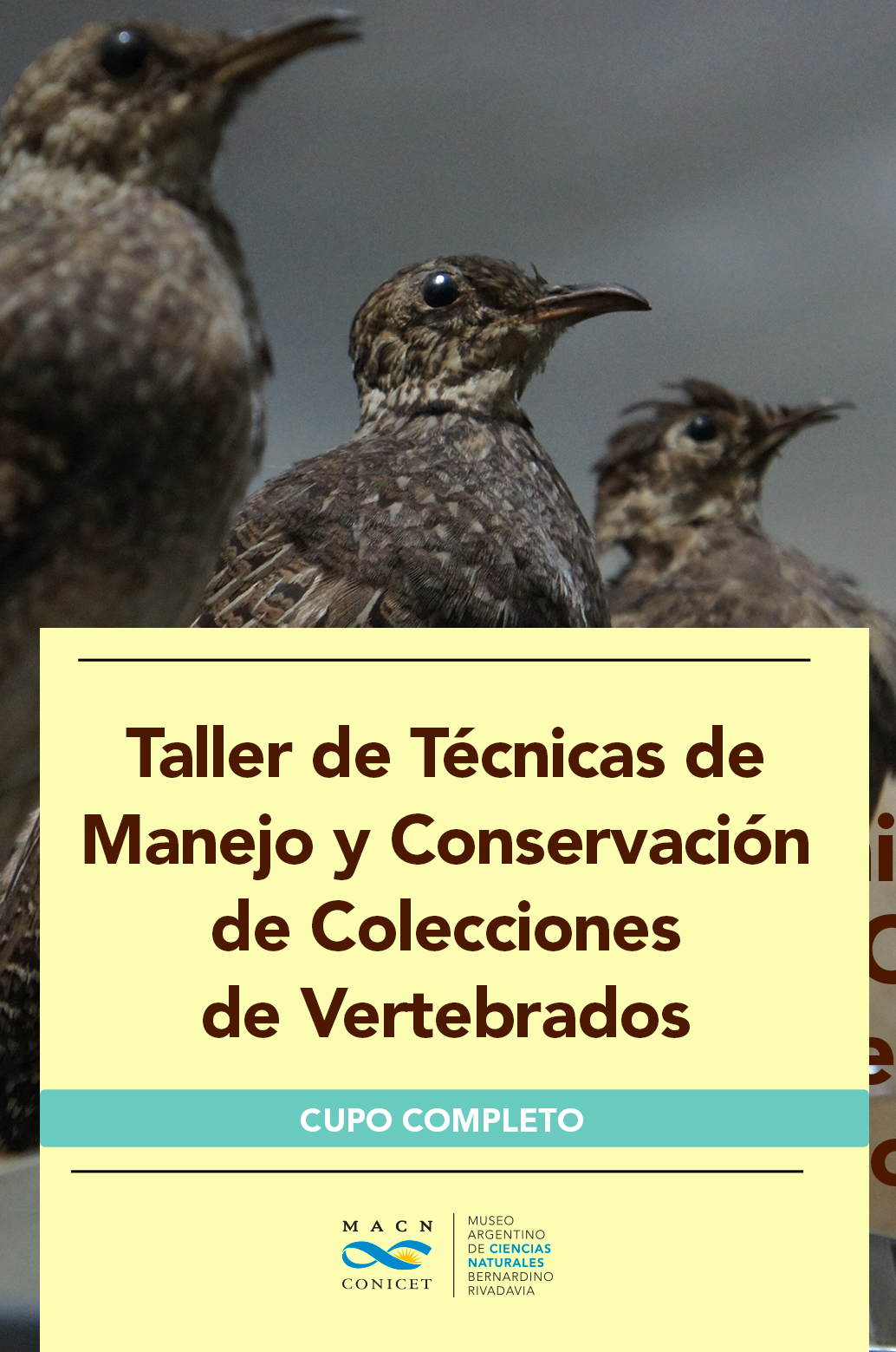 conservacion-vertebrados-web_cupo